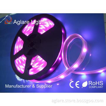 Chasing Falling Snow Tube Light